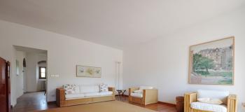 Thumb immobile n.50