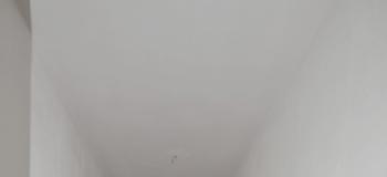 Thumb immobile n.14