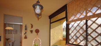 Thumb immobile n.36