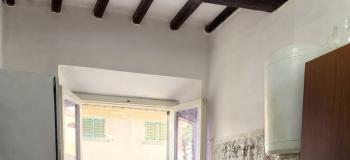 Thumb immobile n.6