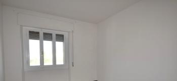 Thumb immobile n.14
