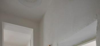 Thumb immobile n.17
