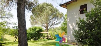 Thumb immobile n.42