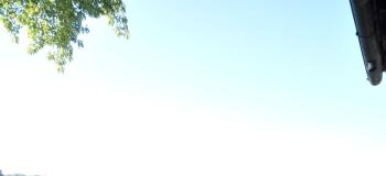 Thumb immobile n.44