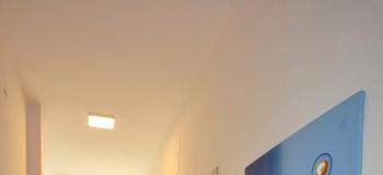 Thumb immobile n.31