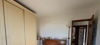 Thumb immobile n.16