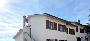 Thumb immobile n.16